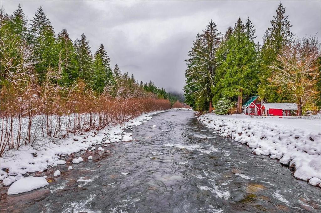 New: Steps From White River Near Mount Rainier National Park Greenwater Buitenkant foto