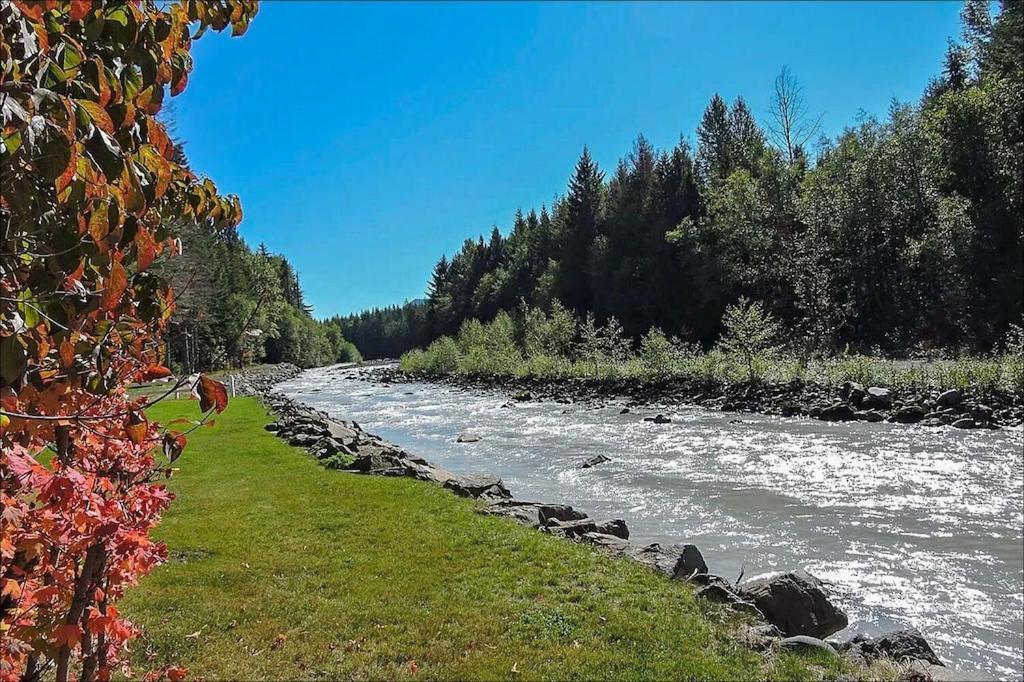 New: Steps From White River Near Mount Rainier National Park Greenwater Buitenkant foto